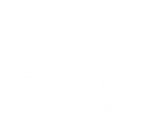 LEADEX_RESULTATS_10_ANS_ESP_72